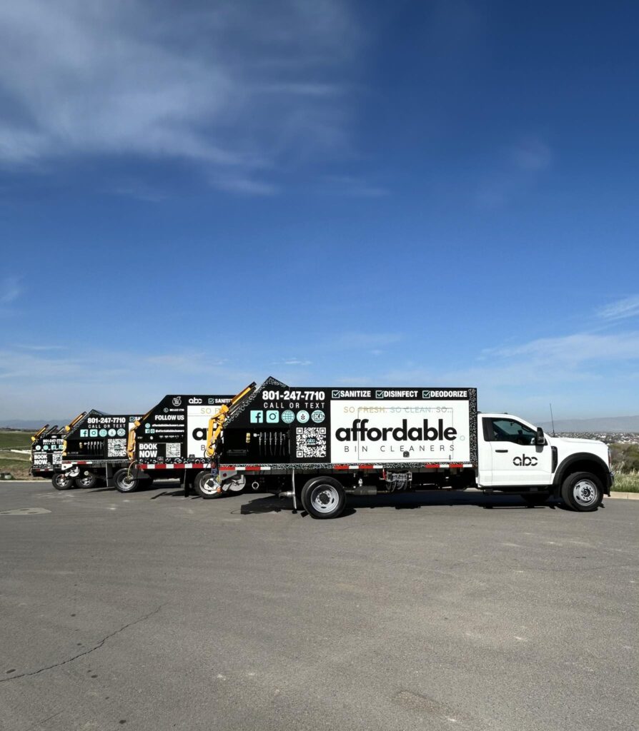 Affordable Bin Cleaners